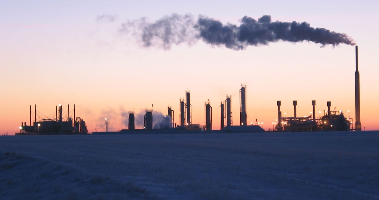 Turnaround Project | Audubon