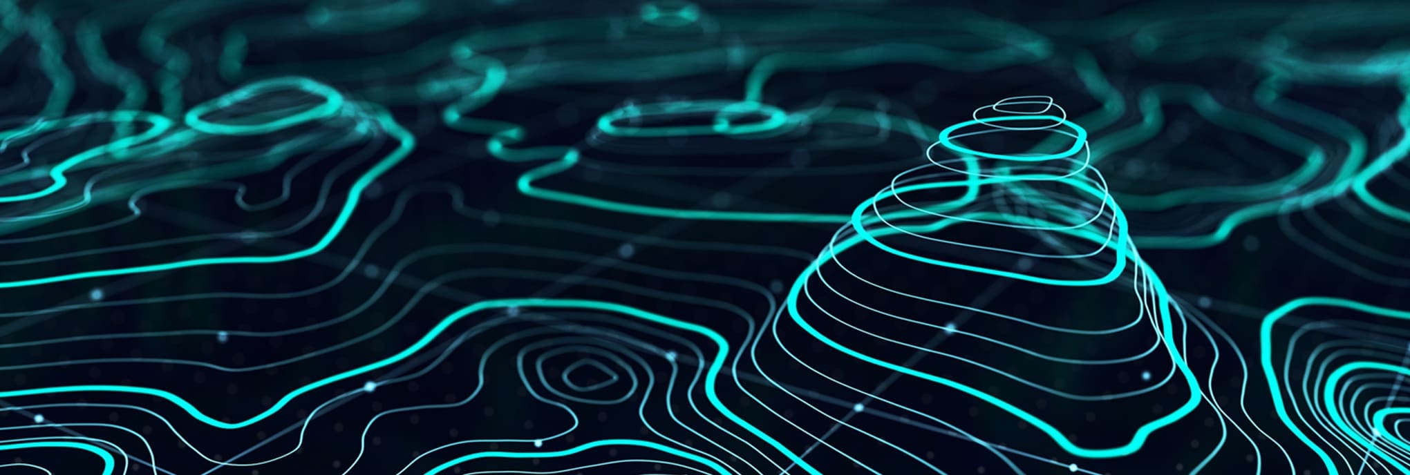 GIS + Data Management | Services | Audubon