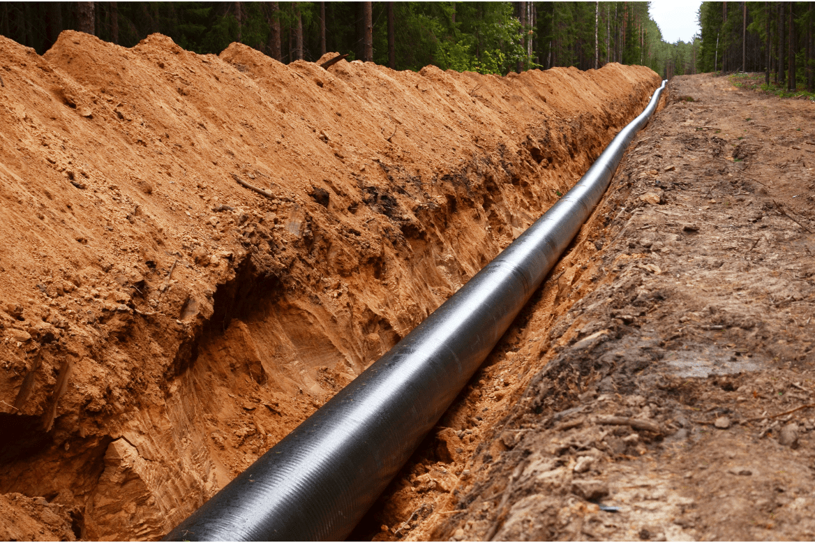 Material Verification | Services | Audubon