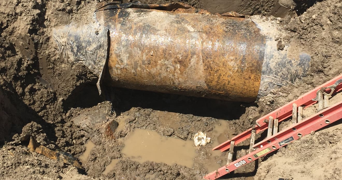 Waterline Integrity Assessment | Project | Audubon