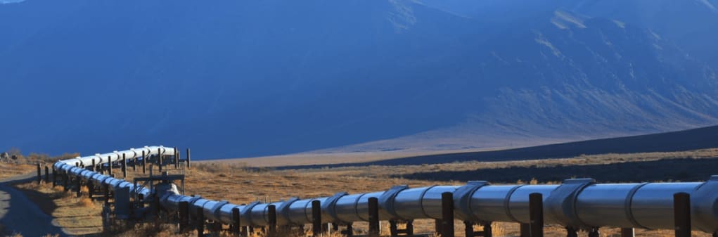 Process Hazard Analysis: What It Is and Why You Need It | Audubon Companies